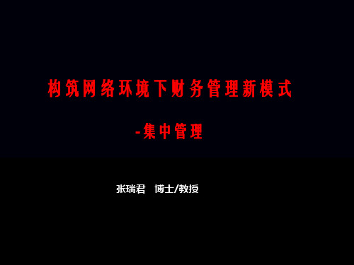 构筑网络环境下财务管理新模式集中管理(ppt58)