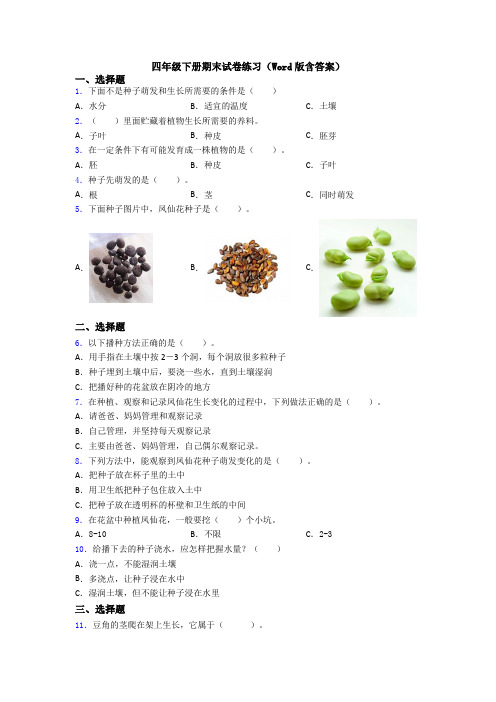 四年级下册期末试卷练习(Word版含答案)