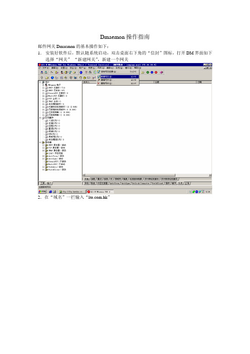 Dmaemon操作指南