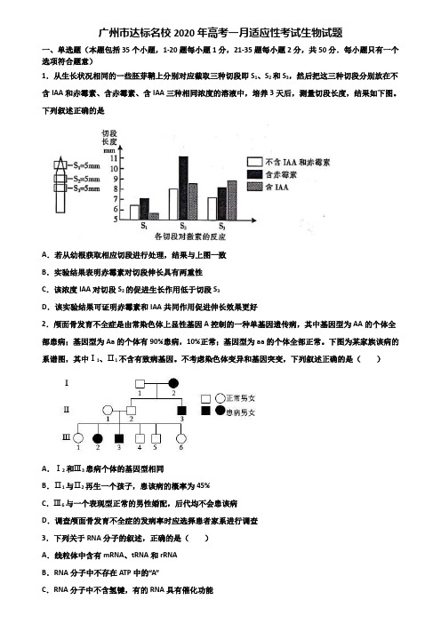 广州市达标名校2020年高考一月适应性考试生物试题含解析