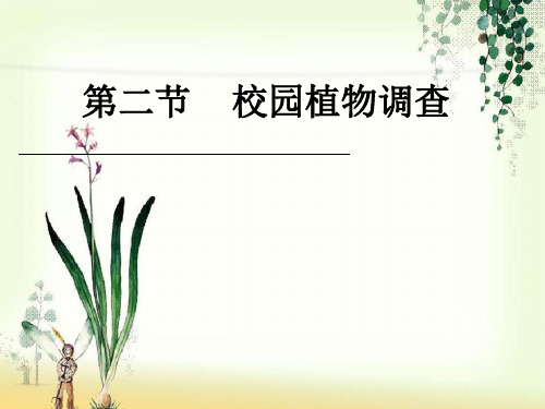 【一线精品】  校园植物调查   最新优秀公开PPT课件