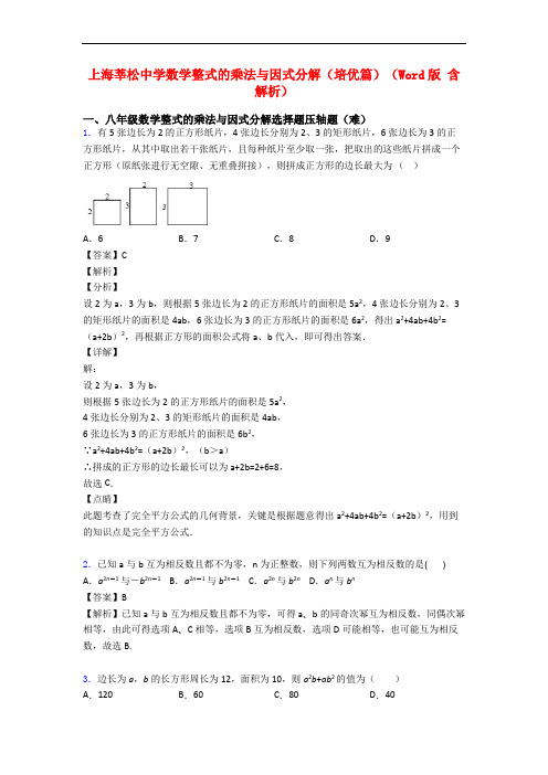 上海莘松中学数学整式的乘法与因式分解(培优篇)(Word版 含解析)