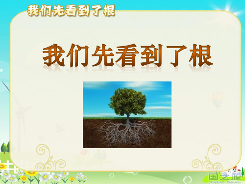 《我们先看到了根》植物的生长变化2-教科版三年级科学下册PPT课件