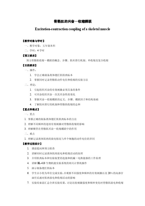 骨骼肌的兴奋-收缩耦联