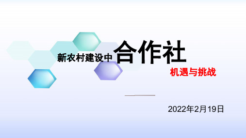 新农村建设中合作社的机遇与挑战(课件)