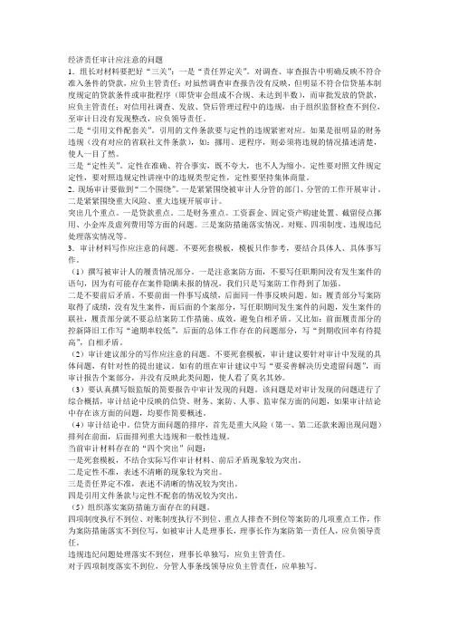 经济责任审计应注意的问题