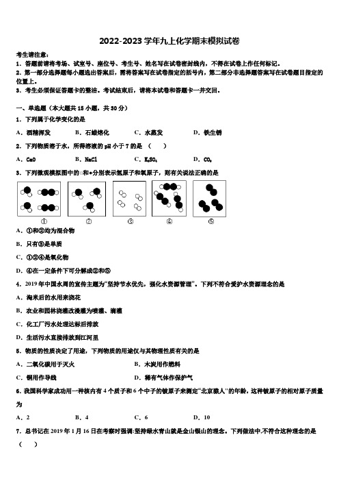 2023届广东省深圳市莲花中学化学九年级第一学期期末监测模拟试题含解析