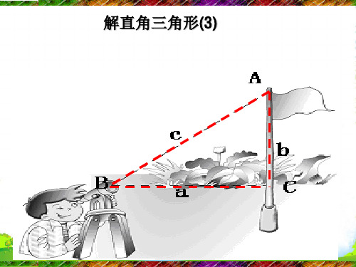 新浙教版九年级数学下册第一章《解直角三角形2》课课件