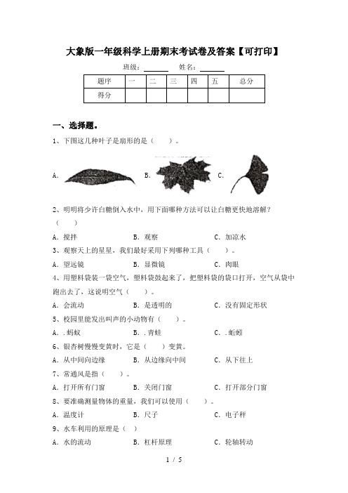 大象版一年级科学上册期末考试卷及答案【可打印】