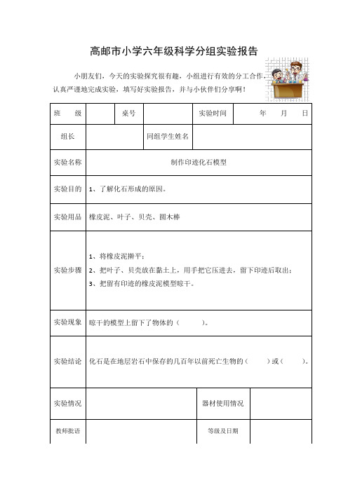 2六下《制作印迹化石模型》实验报告