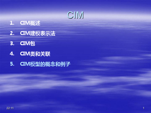 CIM