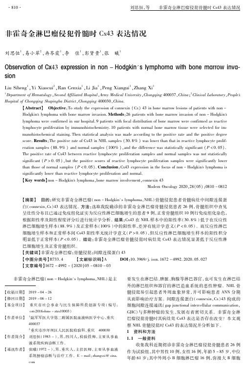 非霍奇金淋巴瘤侵犯骨髓时cx43表达情况