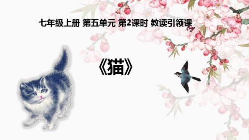 部编版七年级语文上册16猫第2课时课件(16页)