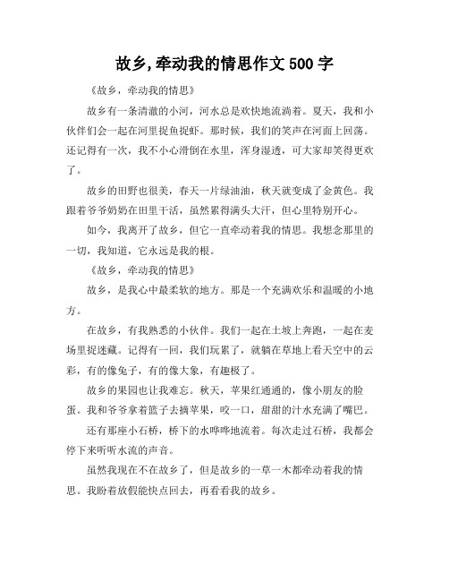 故乡,牵动我的情思作文500字