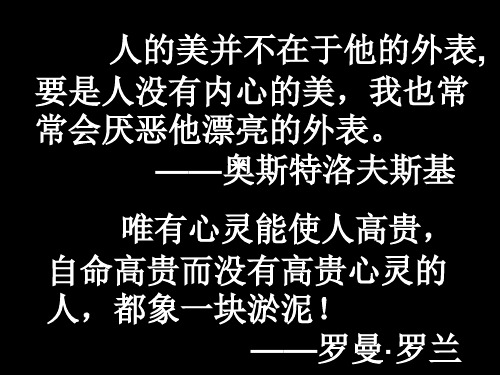 列夫托尔斯泰——茨威格__ppt概述