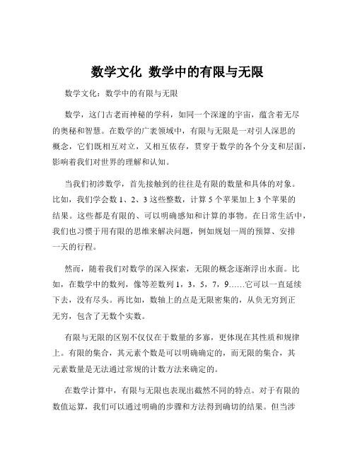 数学文化  数学中的有限与无限