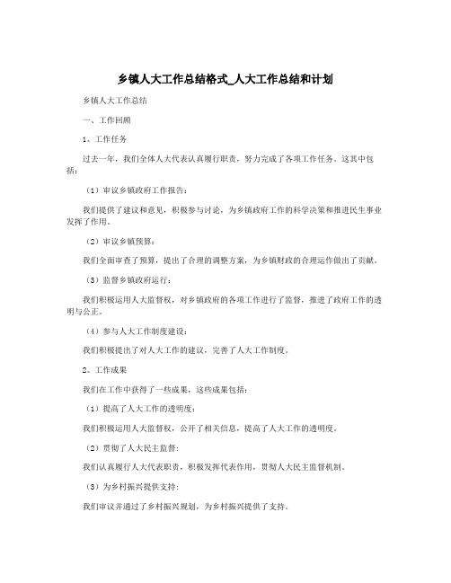 乡镇人大工作总结格式_人大工作总结和计划