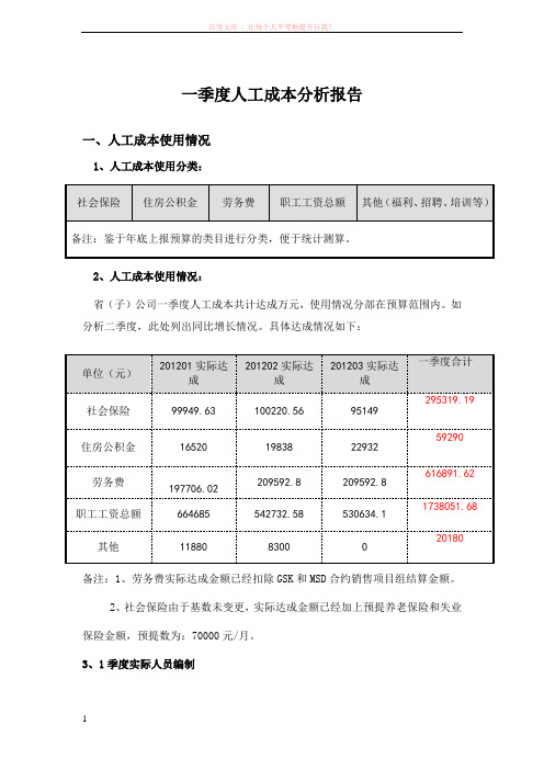 人工成本分析报告