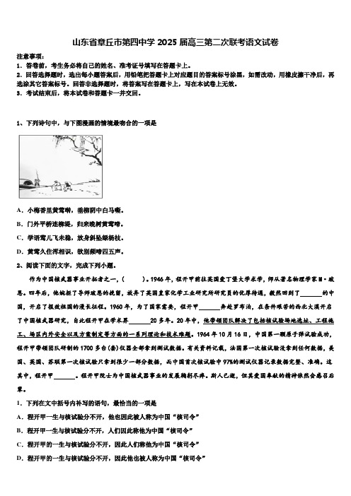 山东省章丘市第四中学2025届高三第二次联考语文试卷含解析