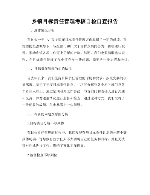 乡镇目标责任管理考核自检自查报告