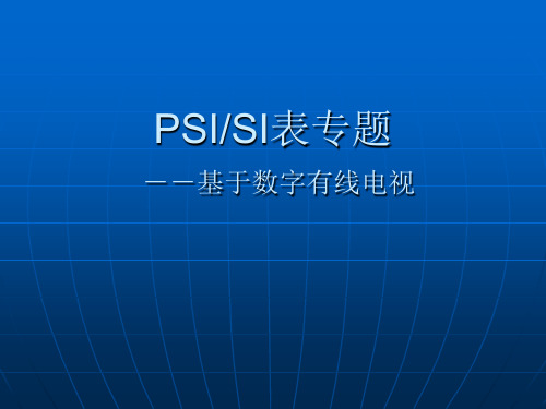 PSI-SI详解