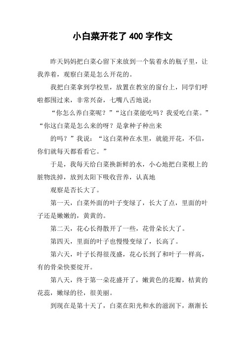 小白菜开花了400字作文