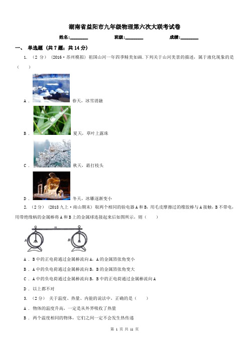 湖南省益阳市九年级物理第六次大联考试卷