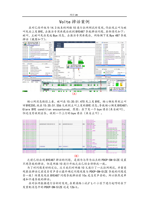 Volte掉话案例(参数指向错误)