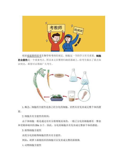 福建教师招考生物：细胞的全能性