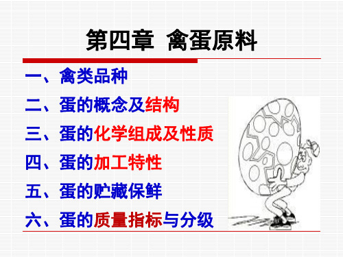 10第四章 禽蛋原料