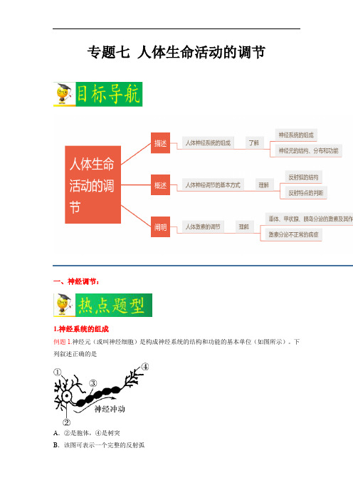 人体生命活动的调节-2023年中考生物二轮热点题型归纳与变式演练(解析版)