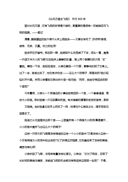 《长风万里去飞翔》 作文800字