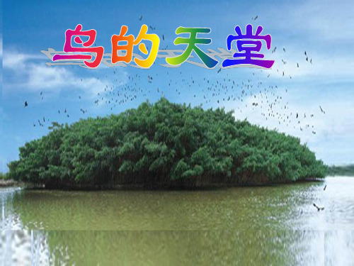 鸟的天堂(完整课件)
