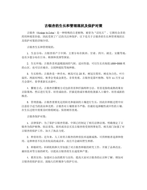 古银杏的生长和管理现状及保护对策