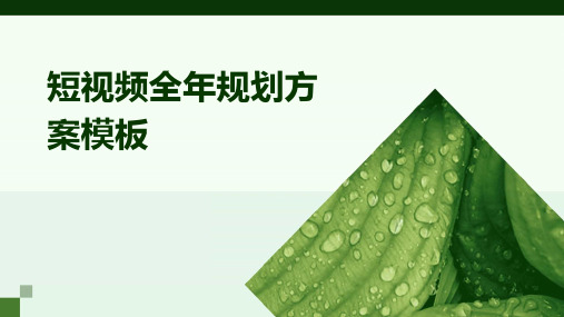 短视频全年规划方案模板