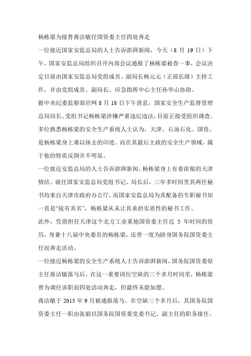 杨栋梁为接替蒋洁敏任国资委主任四处奔走