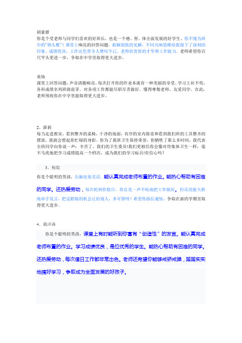 2010年评语