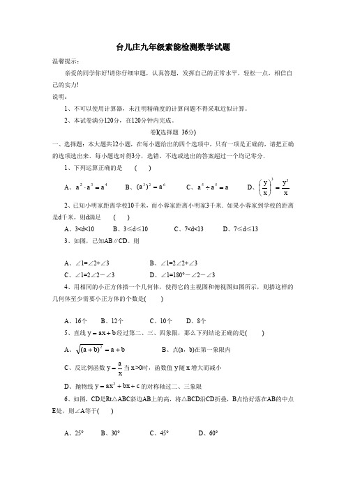 台儿庄九年级素能检测数学试题.doc