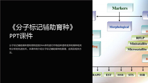 《分子标记辅助育种》课件