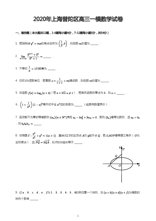 2020年上海普陀区高三一模数学试卷