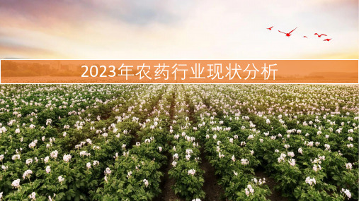 2023年农药产业发展概况分析