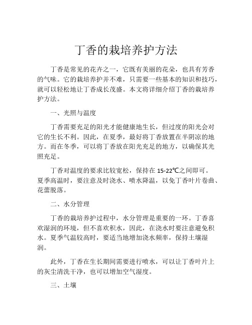 丁香的栽培养护方法