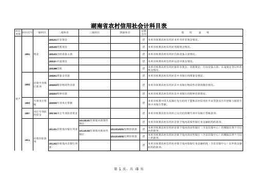 湖南省农村信用社终稿科目全