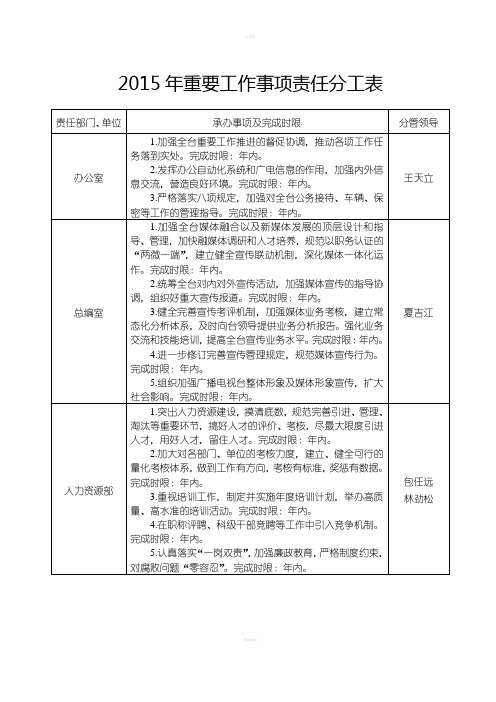 重要工作事项责任分工表