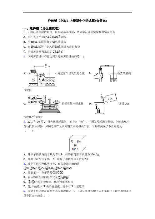 沪教版(上海)上册期中初三化学试题(含答案)