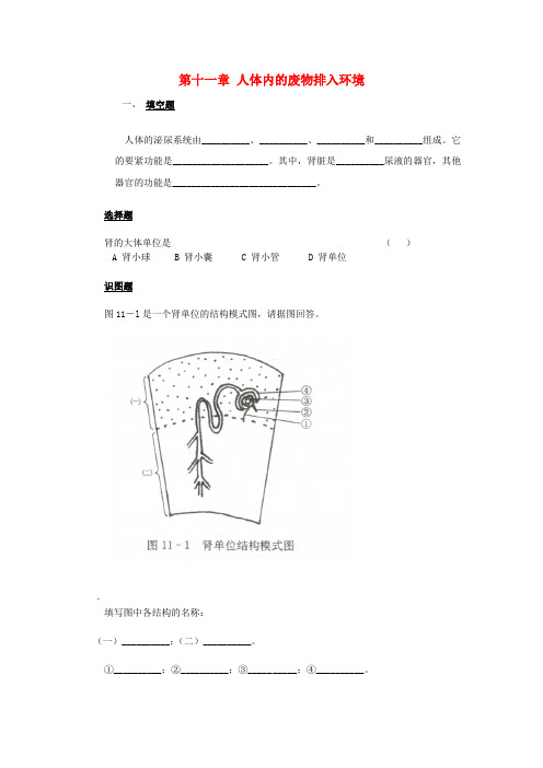 七年级生物下册第十一章人体内的废物排入环境同步测试无答案苏教版