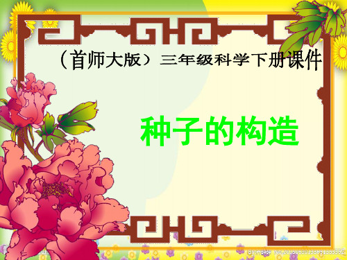 首师大小学科学三下《种子的构造》PPT课件(同课异构)(3)