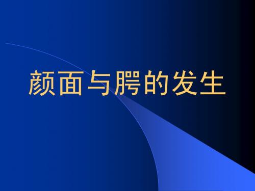 颜面、腭、消化和呼吸的发生