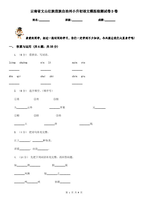 云南省文山壮族苗族自治州小升初语文模拟检测试卷D卷