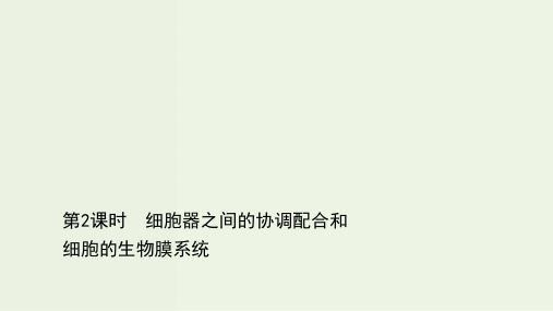 2021_2022新教材高中生物第3章细胞的基本结构2